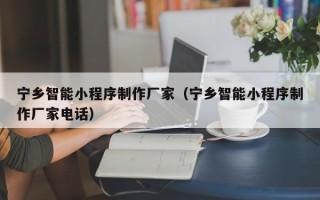 扬州宁乡智能小程序制作厂家（宁乡智能小程序制作厂家电话）